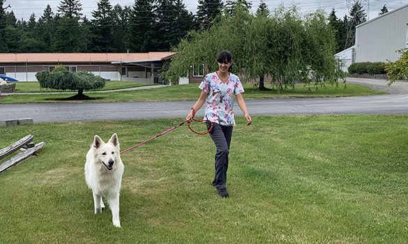 Leash walk