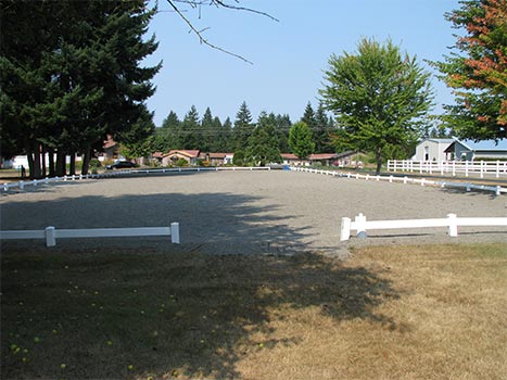 Dressage Arena